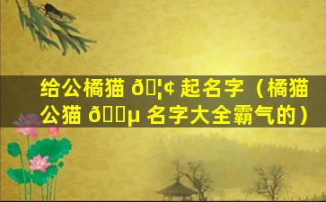 给公橘猫 🦢 起名字（橘猫公猫 🌵 名字大全霸气的）